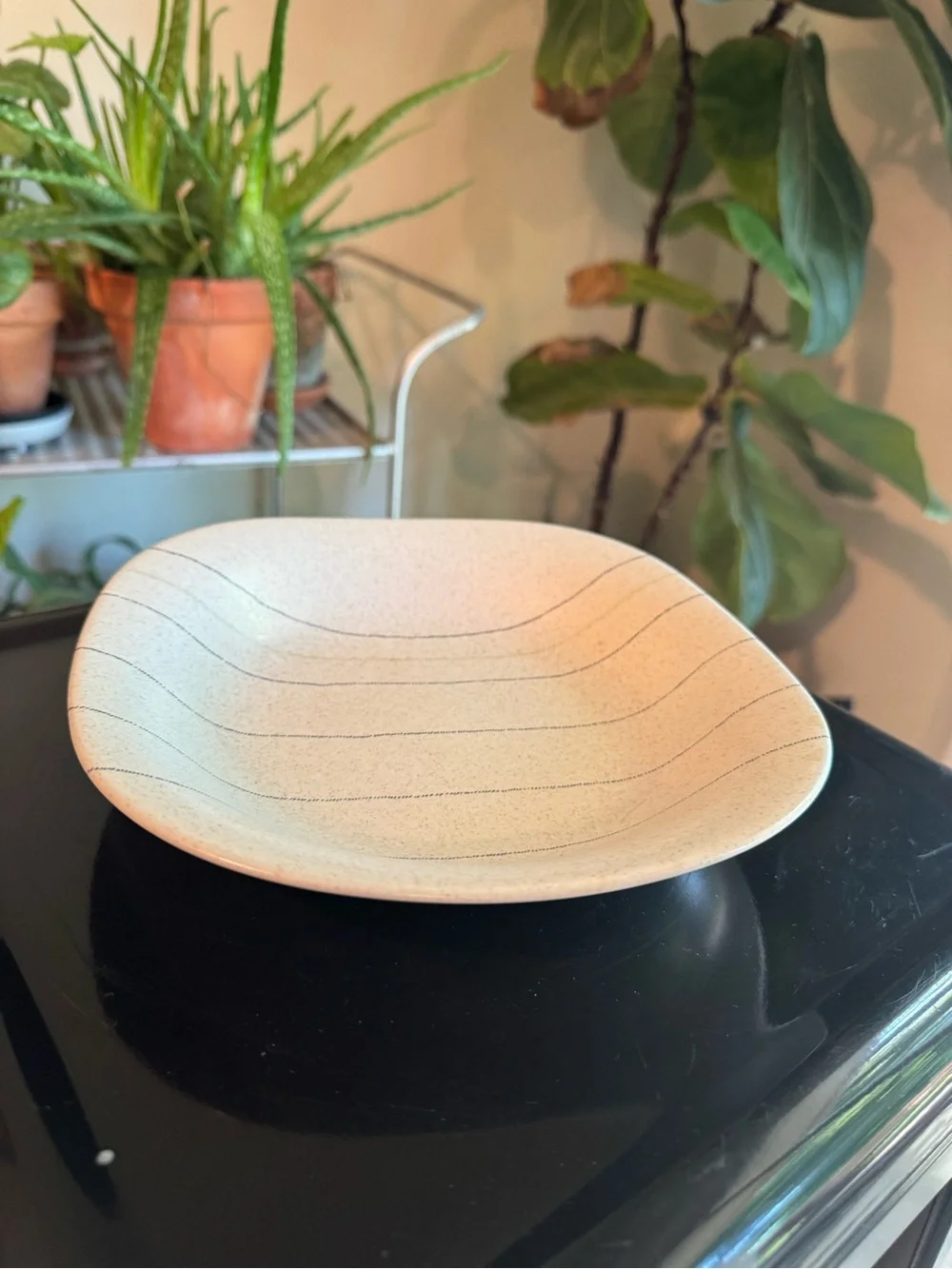 Speckled Cream Ceramic Dinner Plate with Black Pinstripes